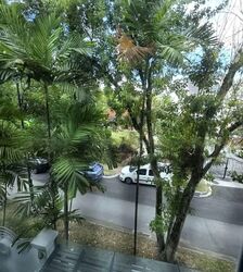 Braddell Heights Estate (D13), Detached #535935861
